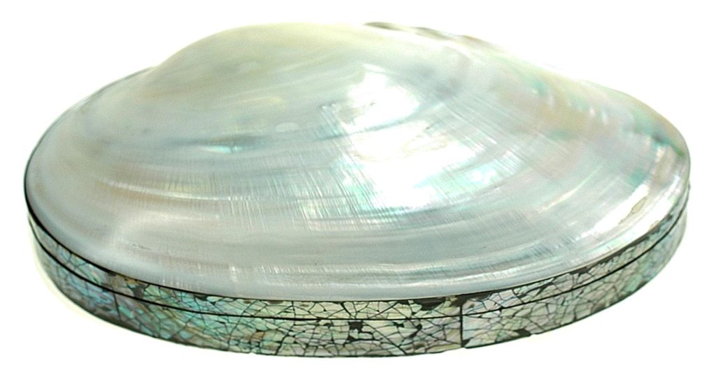 Mundo marino - Mayorista de souvenirs